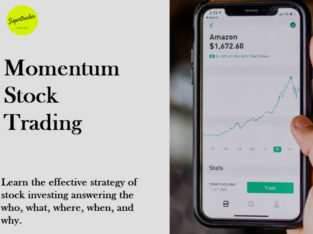 Momentum Stock Investing Course