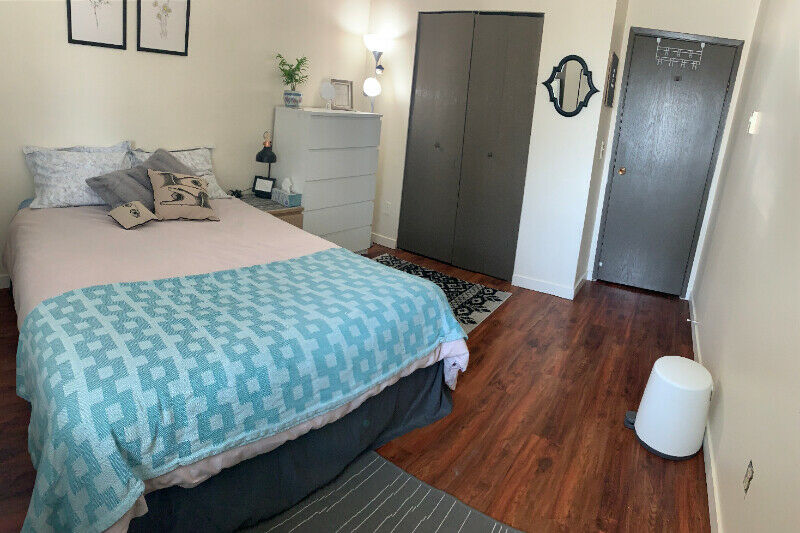 Spacious, furnished bedroom available in 2BR for May-August