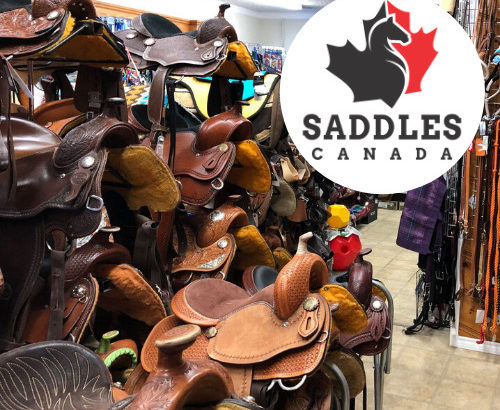 New & Used Western & English Saddles for Sale