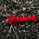 Wanted: ISO blood red fire shrimp