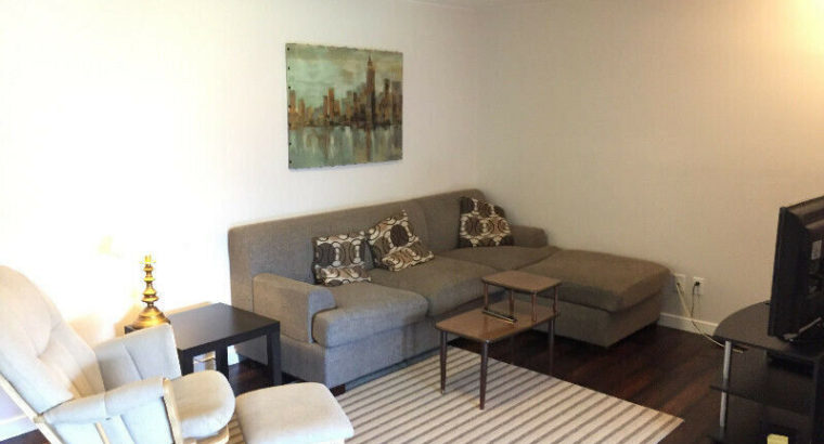 Bright, modern, fully-furnished downtown 2 bdr rental