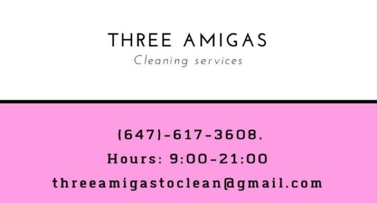 $59 Home Cleaning – Steam Cleaning! Same day Appointment, NOW!