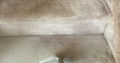 $25 /RM CARPET CLEANING TO REMOVE CAT & DOG URINE & STAINS