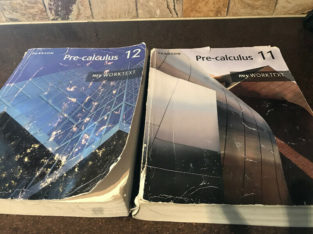 Pre calculus 11 and 12 books