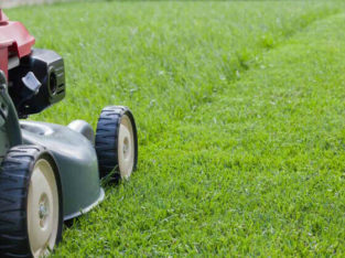 Lawn mowing Service available with reasonable rates and reliable