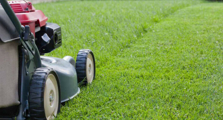 Lawn mowing Service available with reasonable rates and reliable