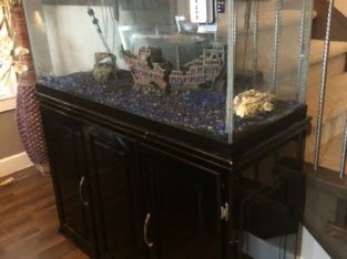 Custom made fish tank