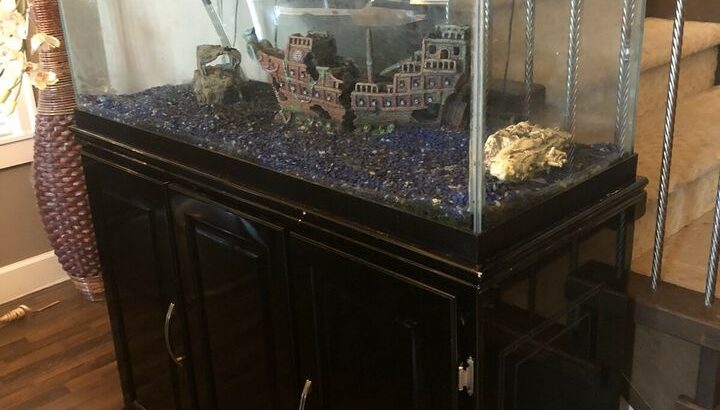 Custom made fish tank