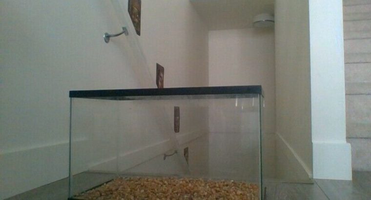 fish aquarium set with filter, food, etc.