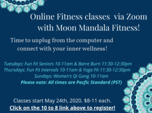 Moon Mandala Fitness offering Online Fitness & Wellness classes!