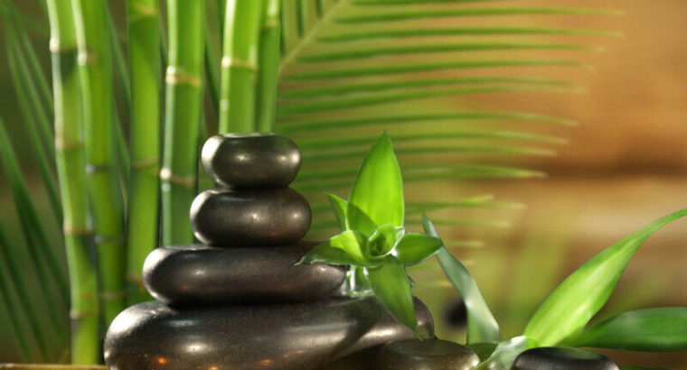 Thai Yoga Massage in Walnut Grove, Langley – $120 / 90min