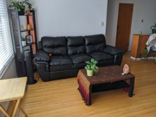 Looking for a Roommate (one bedroom available)