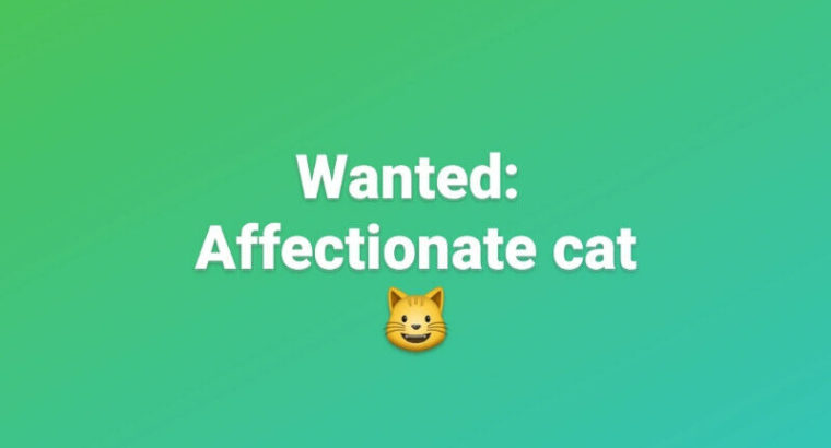 Wanted: Wanted: Affectionate adult cat