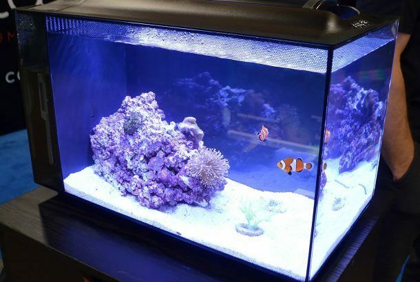 New FLUVAL 13.5 SEA EVO FOR SALE