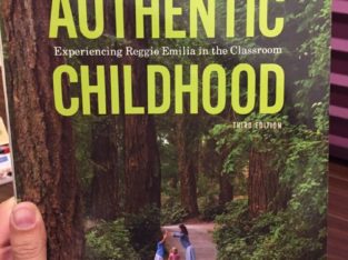 ECE Book: Authentic Childhood