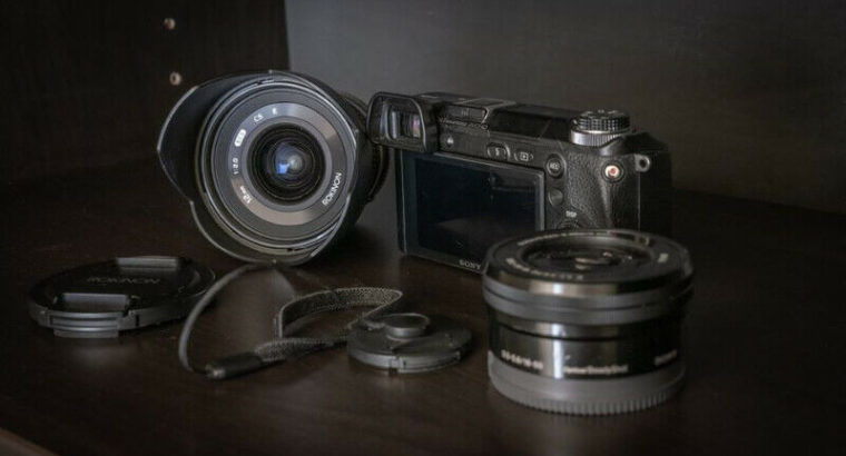 Sony NEX-6 with two Optics