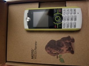 Cellphone Moto W233 Renew