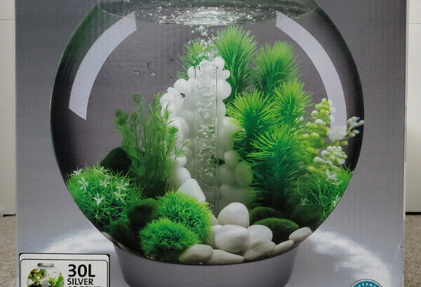 biOrb® CLASSIC 8 Gallon (30L) LED Aquarium – Fish tank