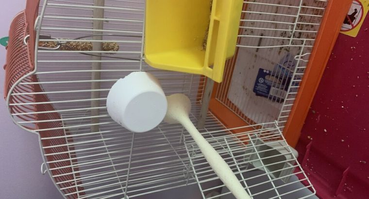 Small love bird cage with toys,bowls and swings.