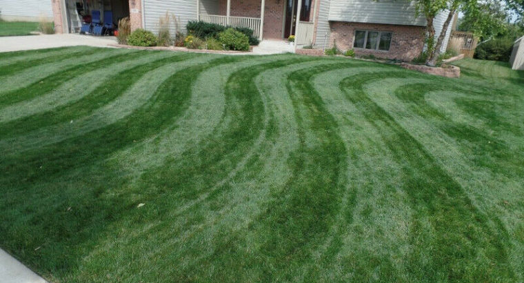 Lawn mowing Service available with reasonable rates and reliable