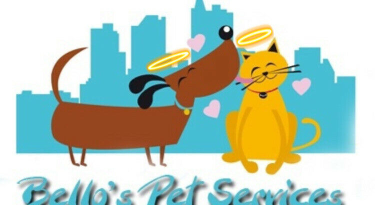 Mobile pet grooming for cats and dogs