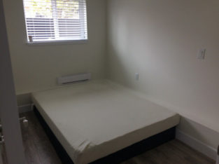 Awesome Room for Rent in the Heart of Kits