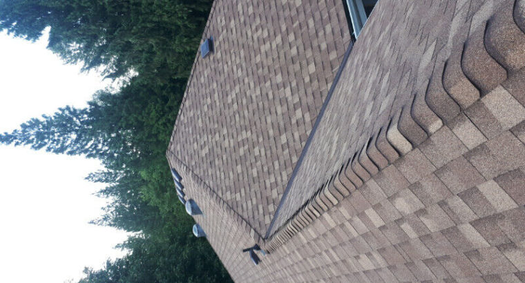 ValleyView Roofing and Cleaning Solutions