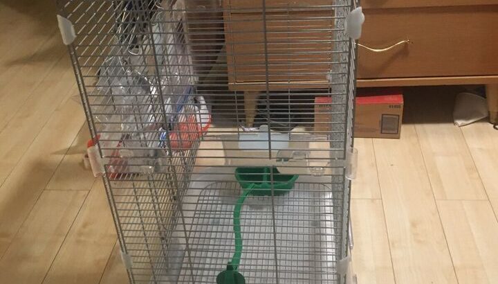 Wanted: Double height vision bird cage