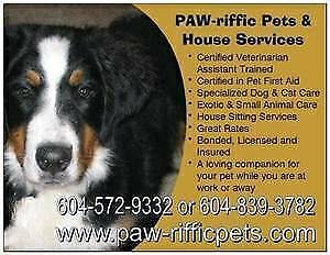 Pet Sitting and Dog Walking