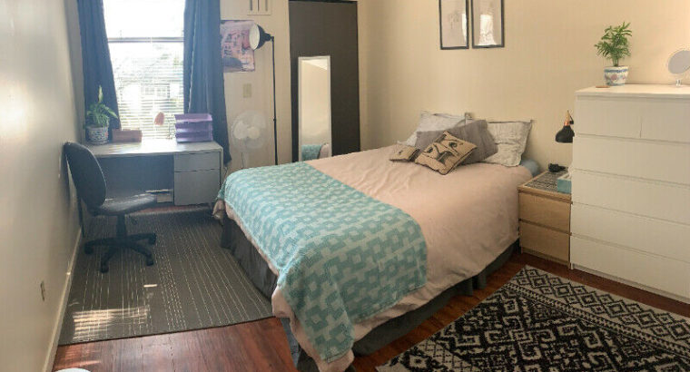 Spacious, furnished bedroom available in 2BR for May-August