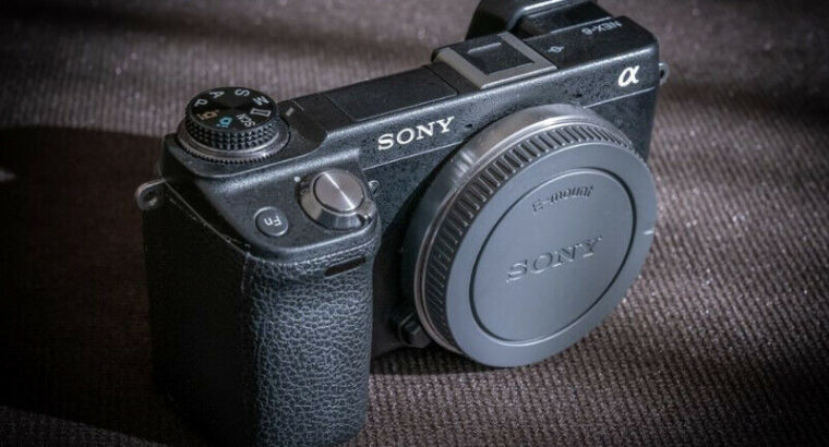 Sony NEX-6 with two Optics