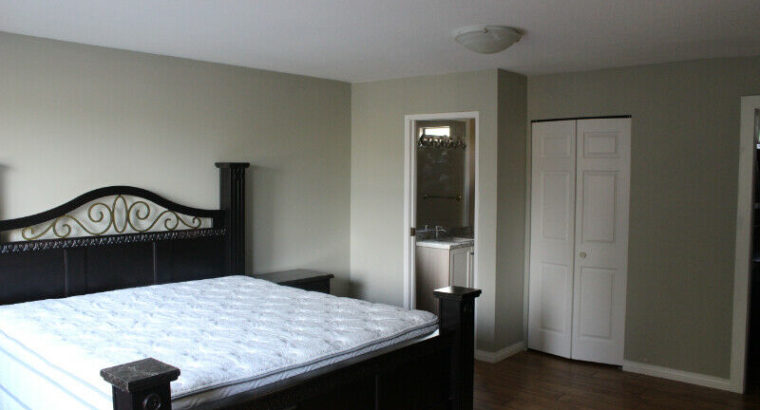 Large Master Bedroom for Rent
