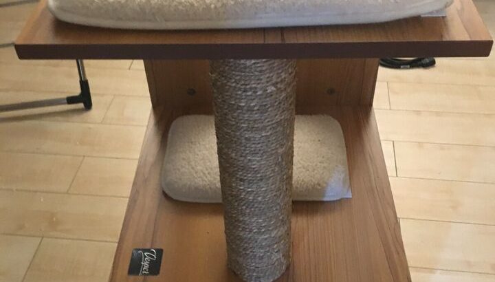 Wanted: Nice cat tree