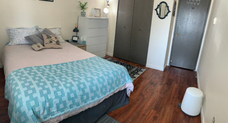 Spacious, furnished bedroom available in 2BR for May-August