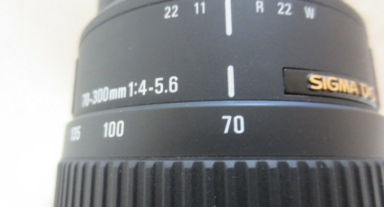 Nikon D40 Body / Nikon lens 18 -105 mm/Sigma DG 70- 300/