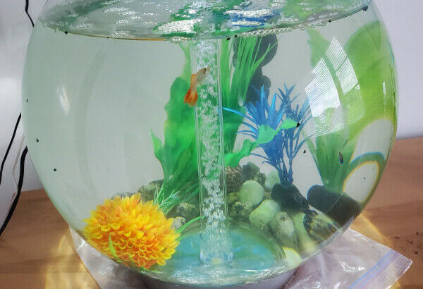 biOrb® CLASSIC 8 Gallon (30L) LED Aquarium – Fish tank