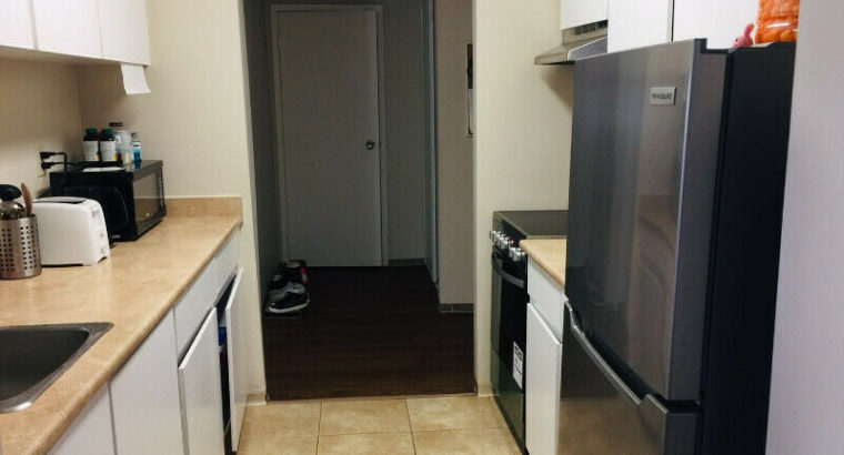 LARGE 1 BEDROOM APARTMENT + OFFICE FOR RENT COQUITLAM PET IS OK!