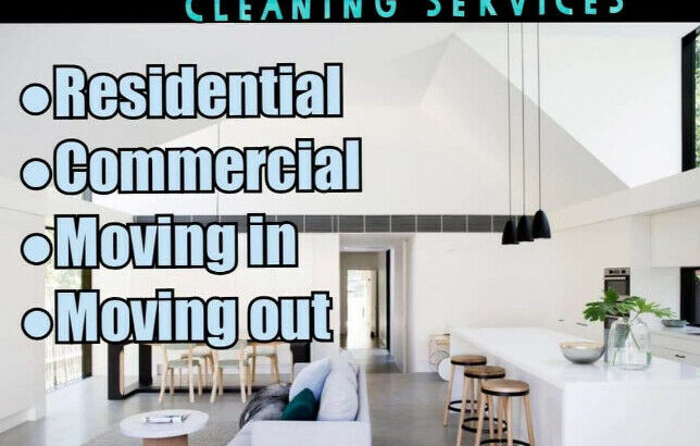 Cleaning service