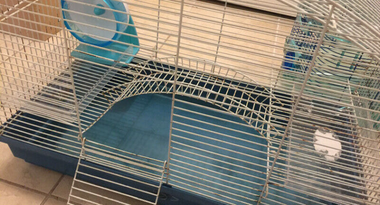 Hamster supplies and cage