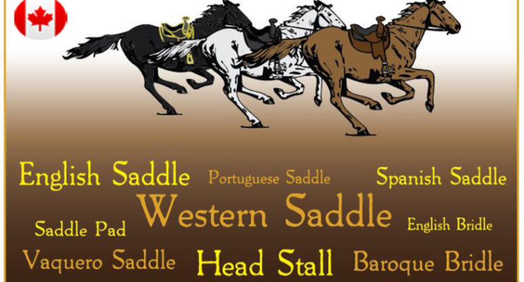 Western Horse Saddle and Tack