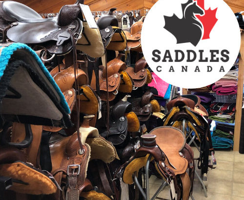 New & Used Western & English Saddles for Sale