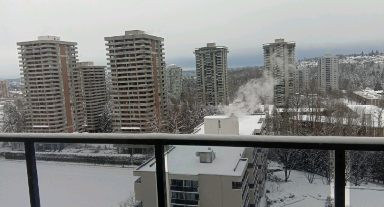 Apartment for share (Lougheed Skytrain)