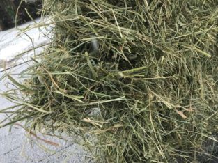 Large square hay bales(Price Includes Delivery) 4’x4’x8′ Bales