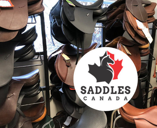 New & Used Western & English Saddles for Sale