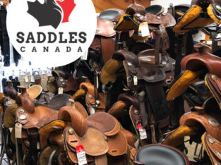 New & Used Western & English Saddles for Sale