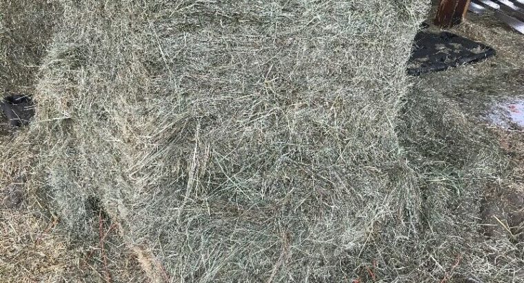 Large square hay bales(Price Includes Delivery) 4’x4’x8′ Bales