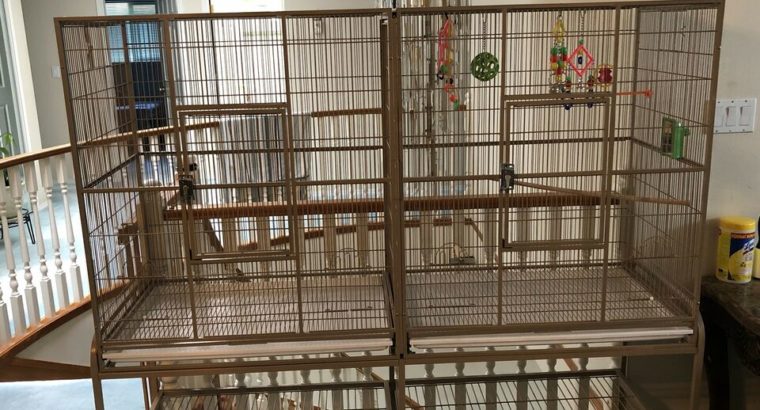 Wanted: Big bird cage for sale