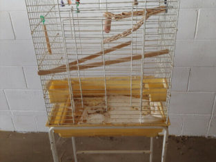 Bird cages, stands and supplies