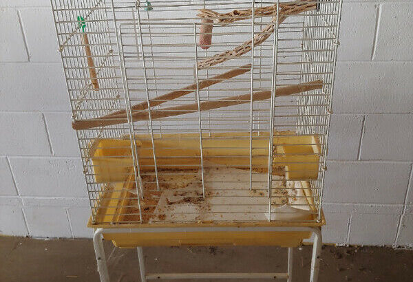Bird cages, stands and supplies