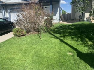 Lawn cutting services